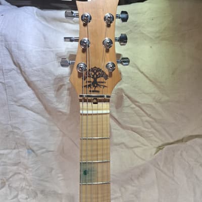 Custom Custom thinline T style guitar 2023 - Gloss Body / Satin Neck image 9