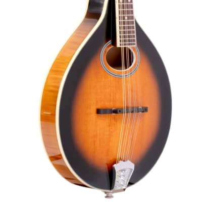 Gold Tone GM-50+ A-Style Acoustic Electric Mandolin with Pickup and Gig Bag image 1