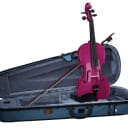 Stentor 1401PK-3/4 Harlequin Series 3/4 Size Villon Outfit w/Lightweight Case & Wood Bow