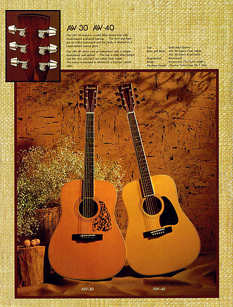 Very Rare 1st Year Ibanez ArtWood AW 30 wHSC Made in Japan Great action Polished Frets Great Guitar