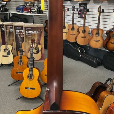 Breedlove PSCO42CEMYMY Pursuit Exotic S Concerto CE Acoustic Guitar - Tiger's Eye image 8