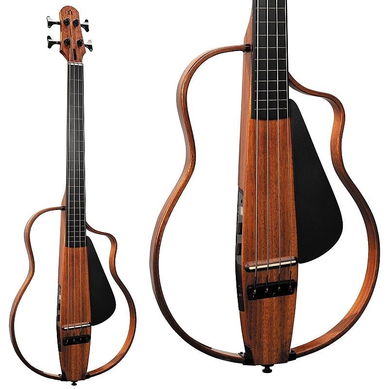NATASHA NBSG Bass Fretless | Reverb