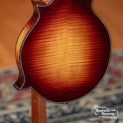 (Used) Iwamoto F5 Adirondack/Maple F-Style Mandolin #118 image 12