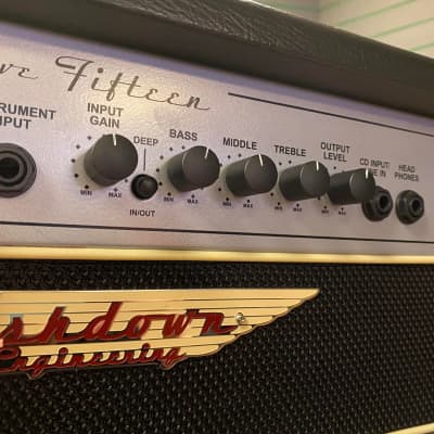 Ashdown Five Fifteen Mini Rig 2x10