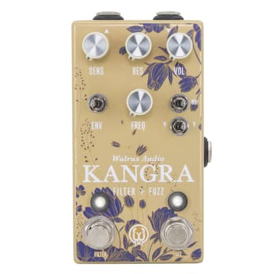 Kangra Filter Fuzz