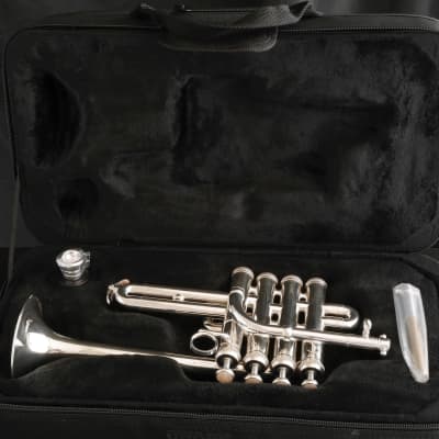 Immagine Brasspire Unicorn Piccolo Trumpet: Amazing Value and Performance! - 8