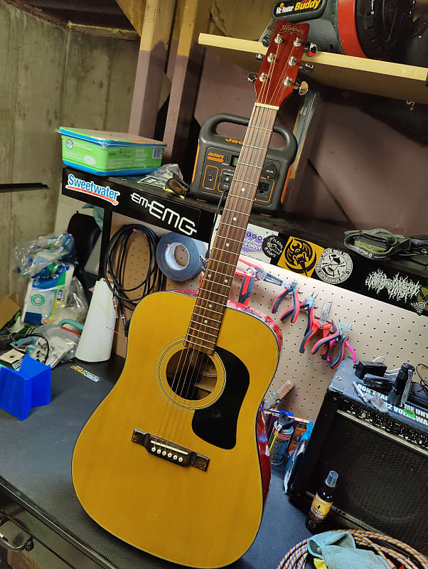 Washburn D10N Acoustic Guitar Reverb