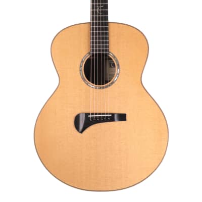Tanglewood Michael Sanden Master Design TSR-3 Acoustic Guitar with Hard Case image 2