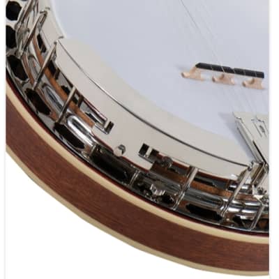 Recording King RK-ELITE-76 Resonator Banjo with USA Setup & FREE HSC! image 3