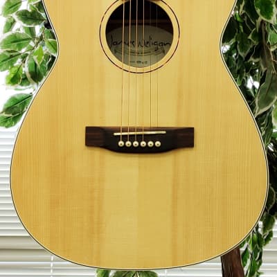 James Neligan ASY-ACE 2010's Naturel Acoustic Electric Guitar for sale