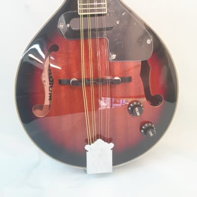 Stadium A-Style Acoustic/Electric Mandolin-Includes Setup-Case/Bag Available! image 2