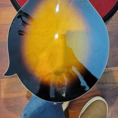 Gold Tone GM-35 F Style Mandolin with case - Tobacco Sunburst image 11