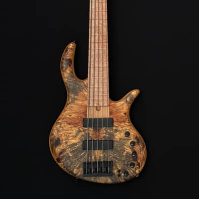 Elrick Gold Series e-Volution 5-String Bass - Swamp Ash, Buckeye, Birdseye image 2