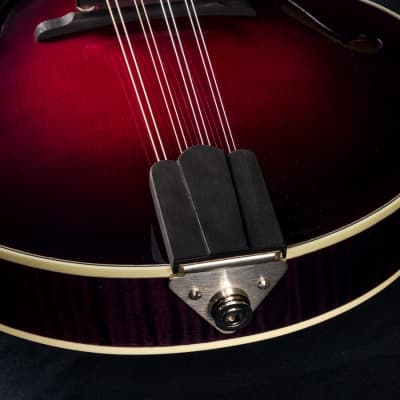 Hinde Jazz Model Adirondack Spruce and Flamed Maple Merlot Burst Mandolin with Pickup NEW image 15