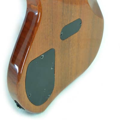 Zon Legacy Standard 5 String Electric Bass Guitar, Mahogany Body Walnut Top W/Bag - LSB5 image 4