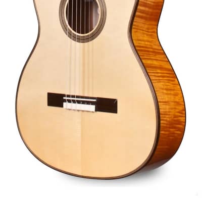Cordoba Fusion 12 Maple - Solid Spruce top, Maple back/sides image 3