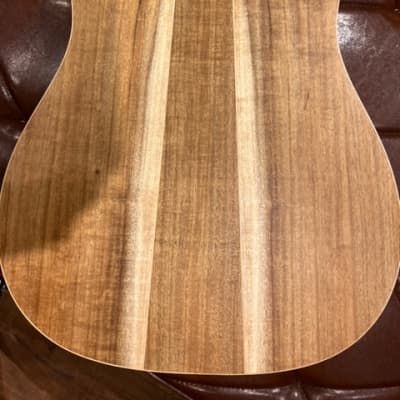 Cole Clark FL Dreadnought CCFL2EC-BB Bunya Top Blackwood Back and