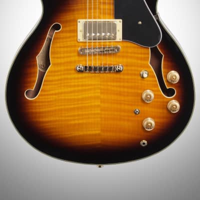 Ibanez JSM10 Semi-hollowbody Electric Guitar (with Case), Vintage Yellow Sunburst image 3