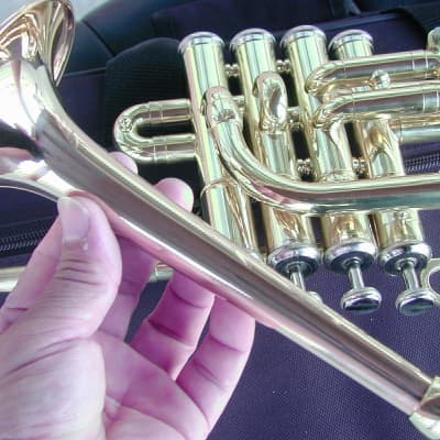 Berkeleywind Bb/A/G Piccolo Trumpet (GoldBrass Stomvi Style) image 7