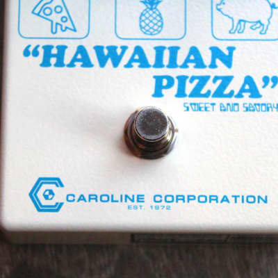 CAROLINE  "Hawaiian Pizza Fuzz" image 3