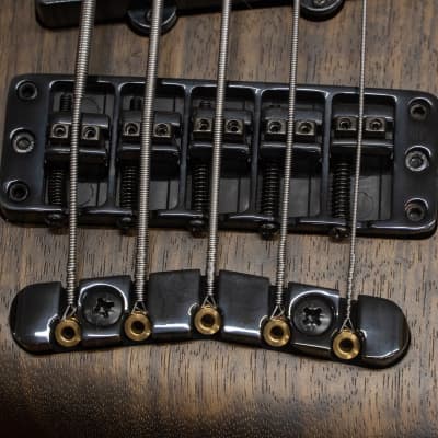 outlet】Warwick / Team Build PS Thumb Bass BO 5 TS NB B #F009987 