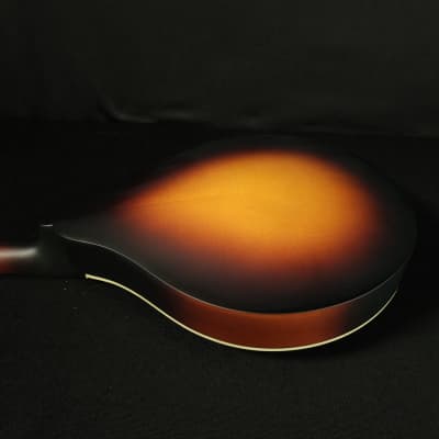 Eastman MD305E-SB A Style Mandolin with Pickup and Bag image 16