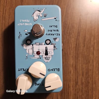 NineVolt - Relaxing Walrus Delay - YouTube
