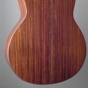 R. Taylor Guitars Style 1 image 3