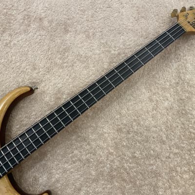 Alembic Orion 4Strings early 2000 - image 4
