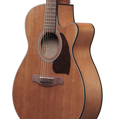 Ibanez PC54CEOPN Acoustic-Electric Guitar Open Pore Natural Pre-Order image 2