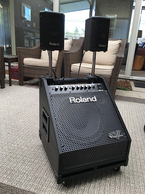 Roland pm deals 30 drum monitor