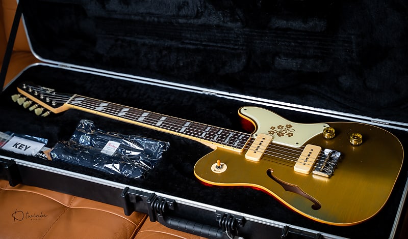 Bruno Guitars TN-295 Relic - Brass Powder Gold | Reverb