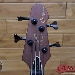 Peavey Cirrus BXP 4 String Bass Darkwood Natural - Made in Indonesia image 5