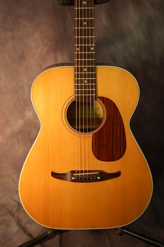 Video Demo 1975 Montano by Takamine F190 Folk Guitar Concert