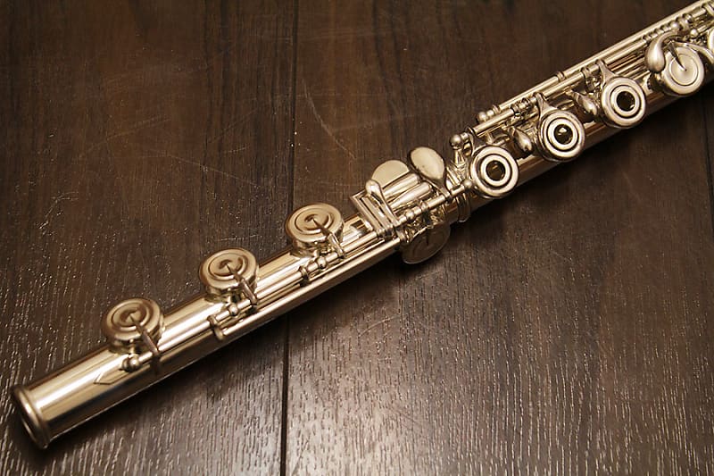 Amazon.com: Sky C Flute with Lightweight Case, Cleaning Rod