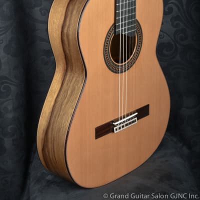Raimundo Tatyana Ryzhkova Signature model, Cedar top  classical guitar image 16