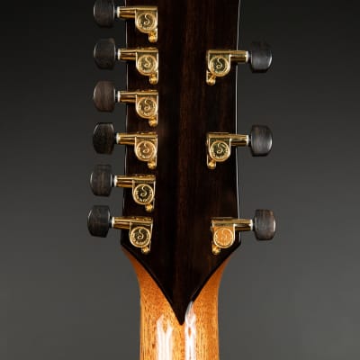 McPherson MG-4.5XP Custom 9-String in Flame Maple with Englemann Spruce Top image 9
