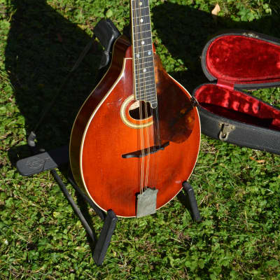 Gibson A-4 Mandolin 1919 - sunburst / original case for sale