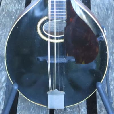 Gibson A4 Mandolin, Black, 1911 image 1