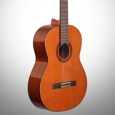 Cordoba C5 Classical Acoustic Guitar image 5