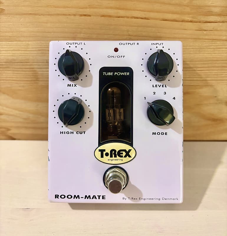 T-Rex Room-Mate