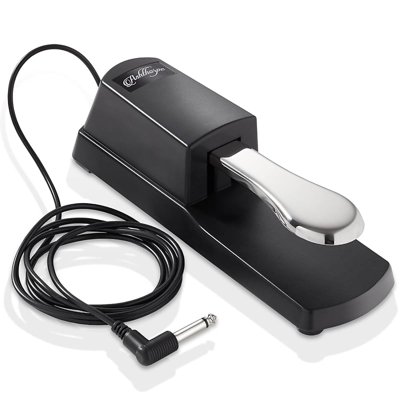 Sustain Pedal For Keyboard, Universal Sustain Pedal With Classic Straight  Plug, Piano Foot Pedal For All Brands Electronic Keyboards, Midi Keyboards,  Digital Pianos, Yamaha, Roland, Korg