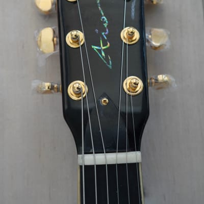 AIO SC77 Electric Guitar - Gold Top w/SKB-56 Hard Case image 8