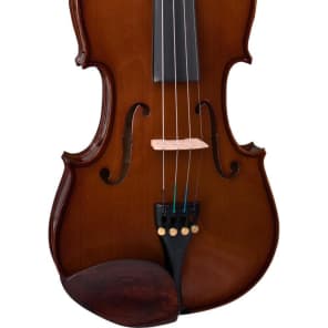 Stentor 1400-3/4 Student I Series Violin Outfit - 3/4 Size