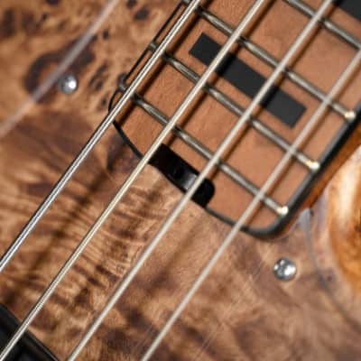 Cort GBMODERN4OPVN GB-Modern 4 Poplar Burl Top Rstd. Maple Neck 4-String Electric Bass Guitar w/Case image 10
