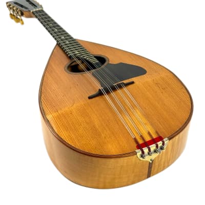 Concert Mandolin Flat-Back Emanuele Egildo N°840 from 1927 image 17