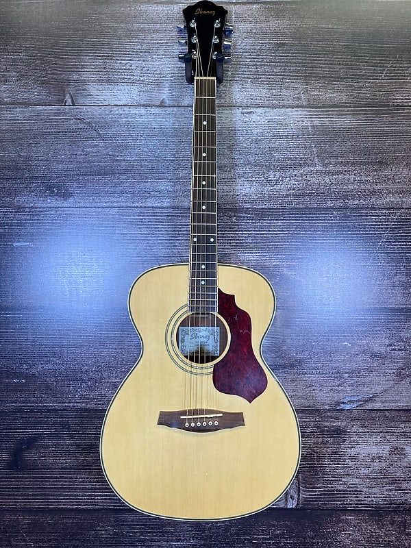 Ibanez SGT110-NT-2Y-01 Acoustic Guitar Acoustic Guitar