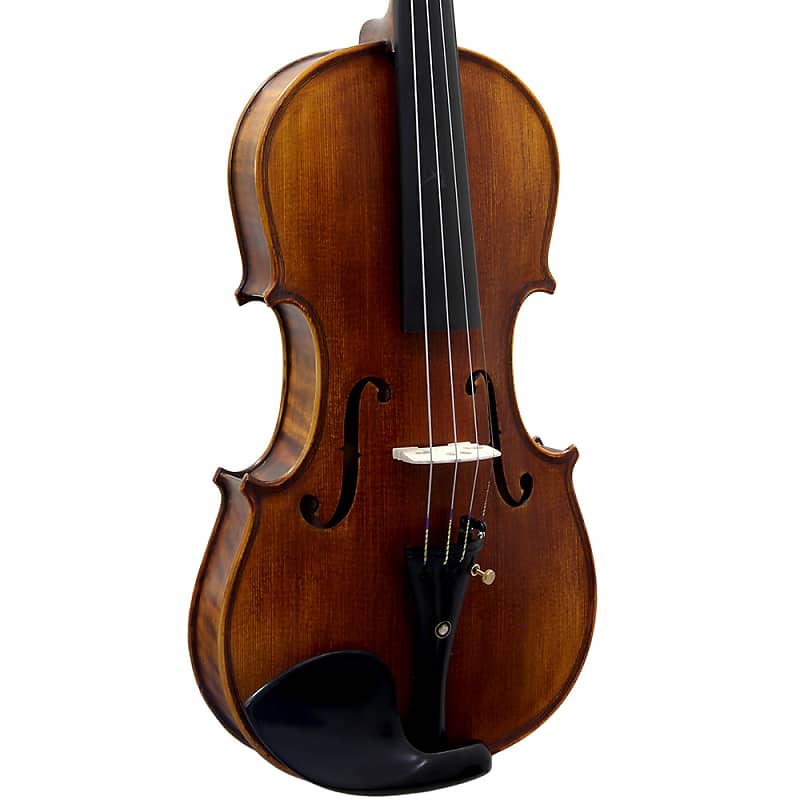 SKY 4/4 Full Size SKYVSH100 Premium Hand Carved Ebony Fitted Violin Outfit  with Case, Bow and More