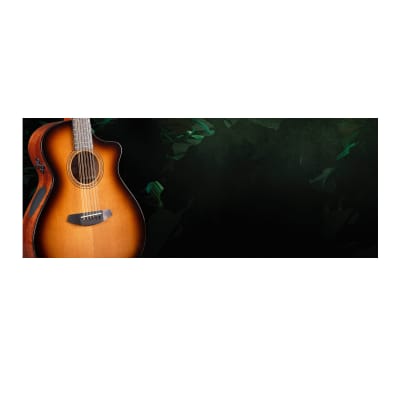 Breedlove Solo Pro Concert CE 12-String Red Cedar-African Mahogany Acoustic Electric Guitar with Ovangkol Bridge (Right-Handed, Edgeburst) image 9