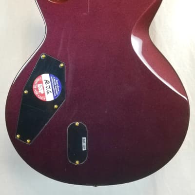 ESP LTD EC-1000 Set Neck Electric Guitar - Gold Andromeda, 2022, w/ESP Hard Shell Case image 11